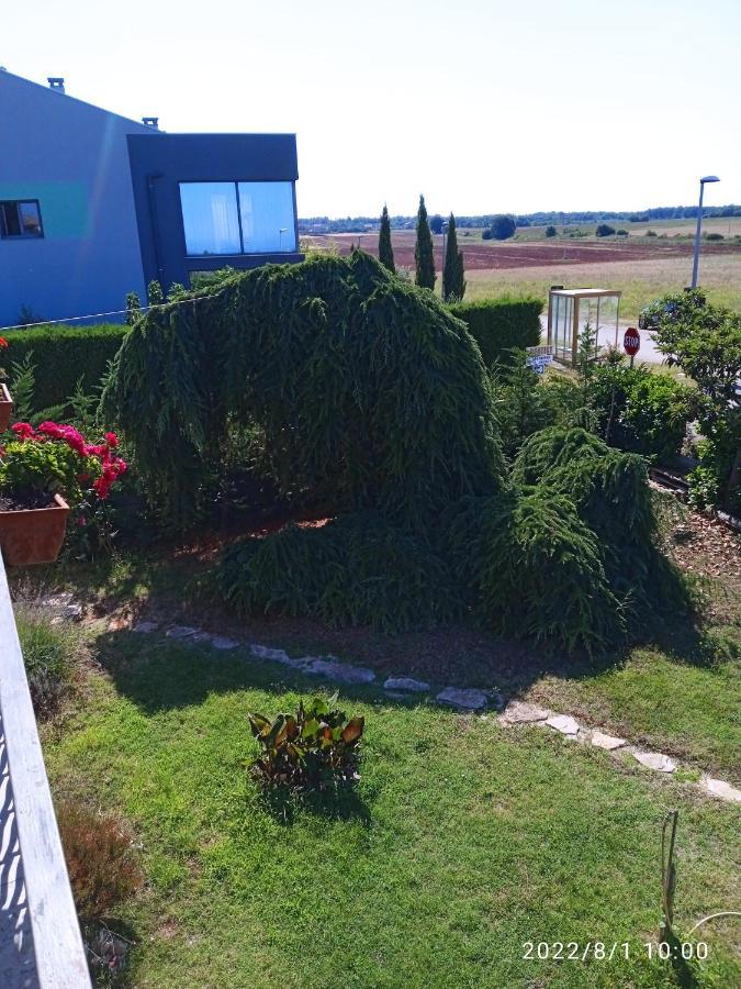 Apartments Ribic Umag Eksteriør billede